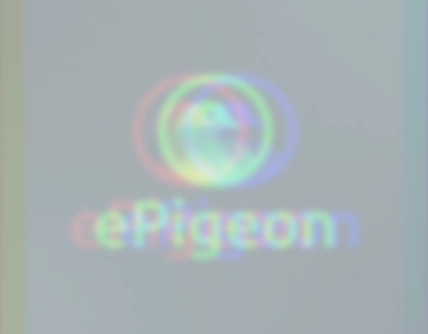 Epigeon Branding Project
